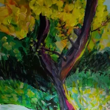 Tree and Stream