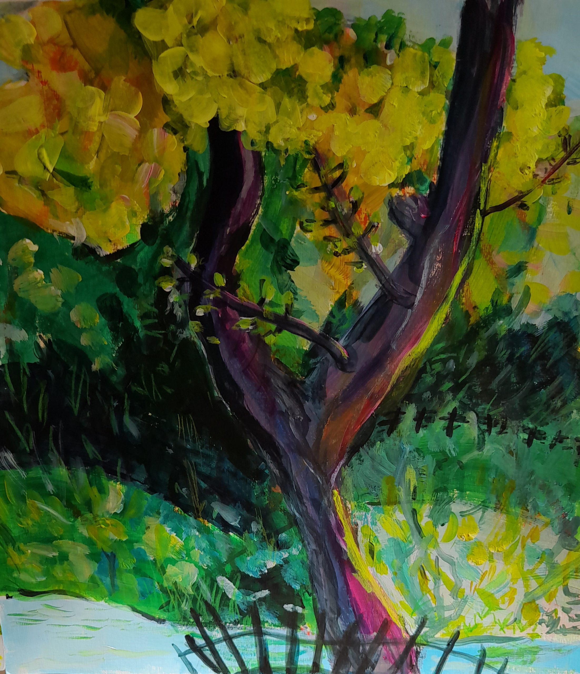 tree and stream