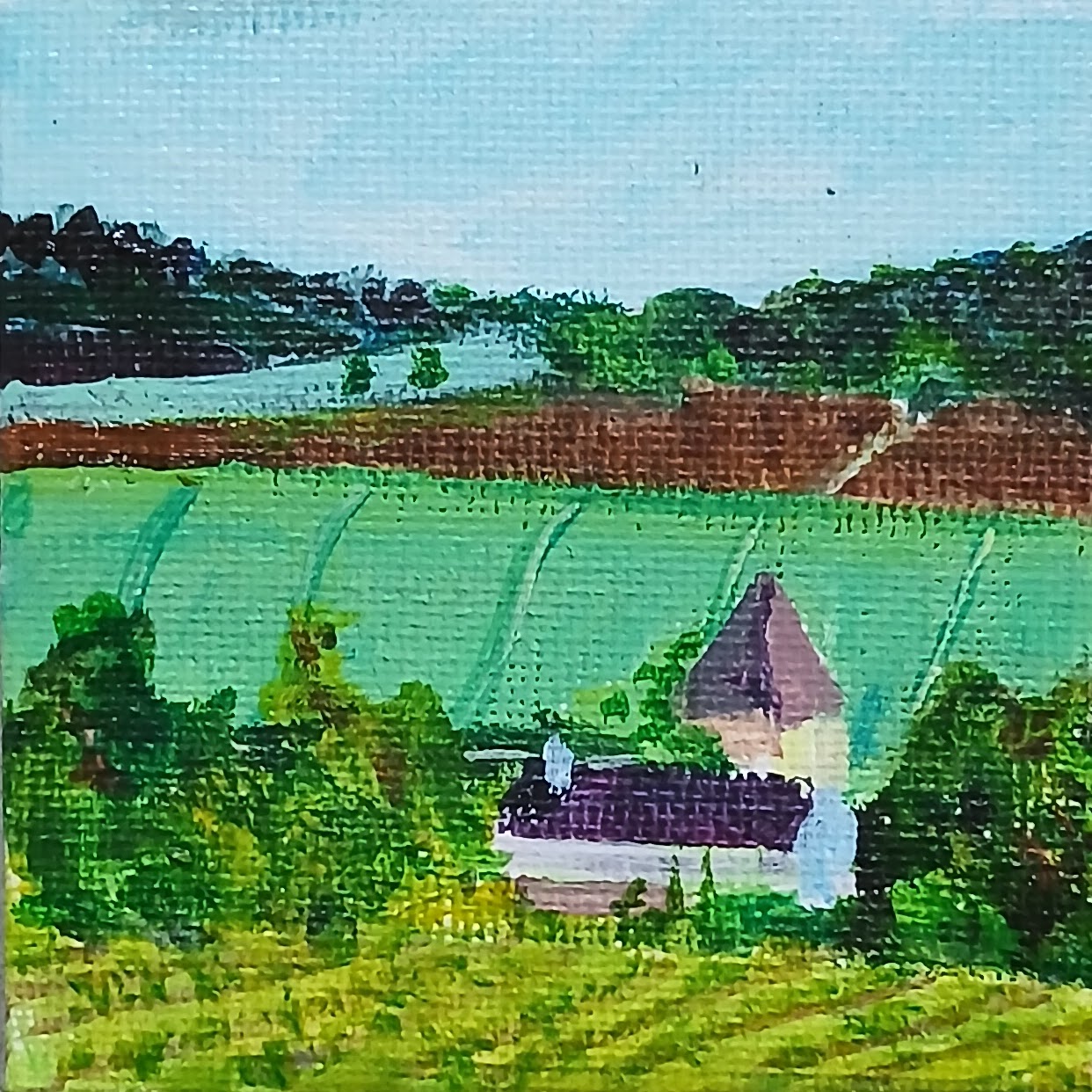 across the vineyard